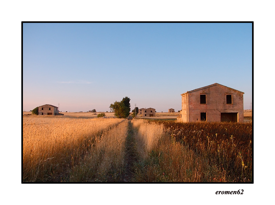 ...QUADRETTO RURALE...