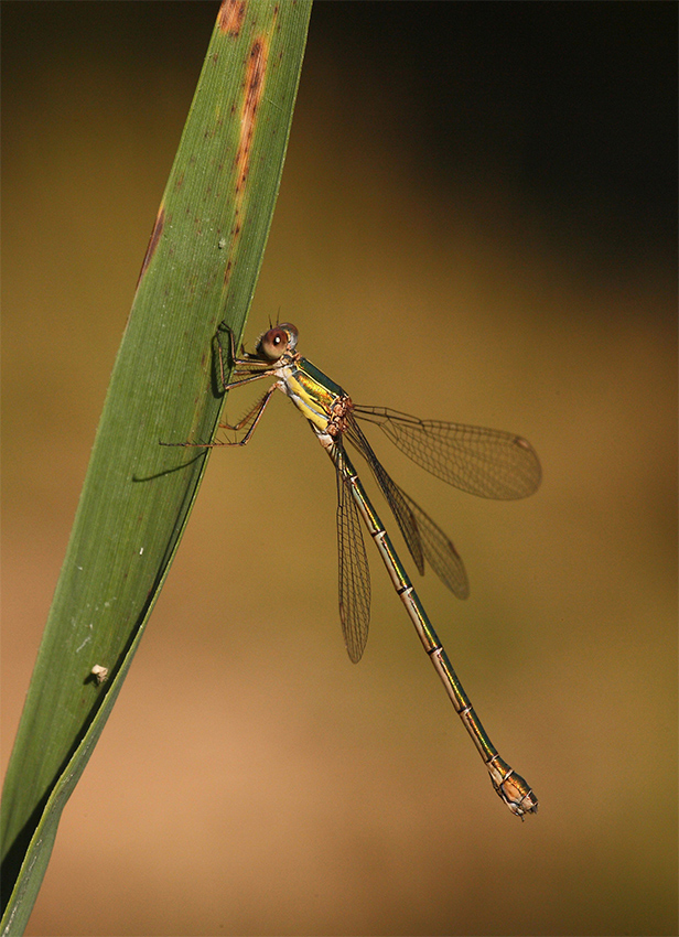 ...Con Le Prime Luci...!!!