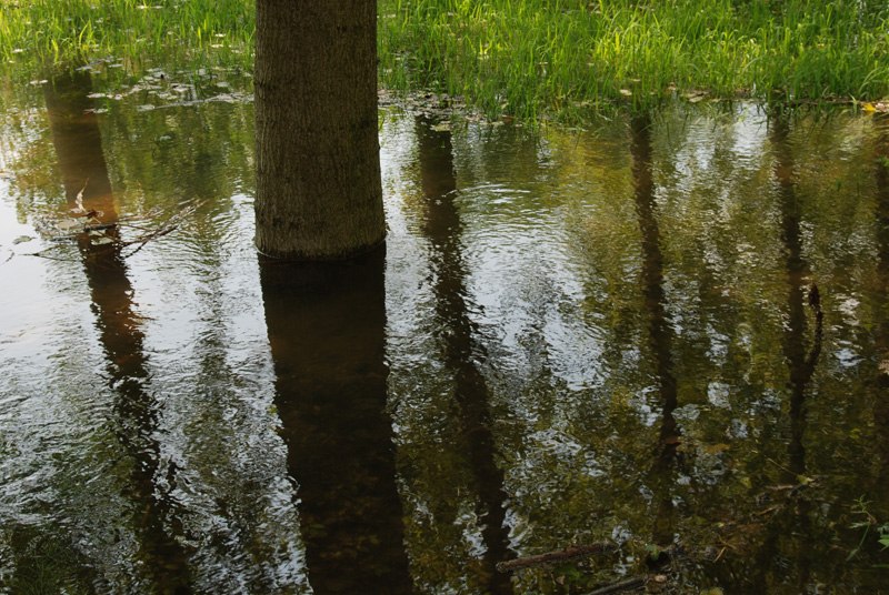 Piccolo campo allagato