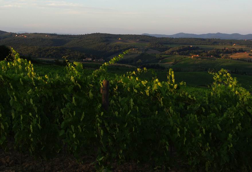 finestra di chianti