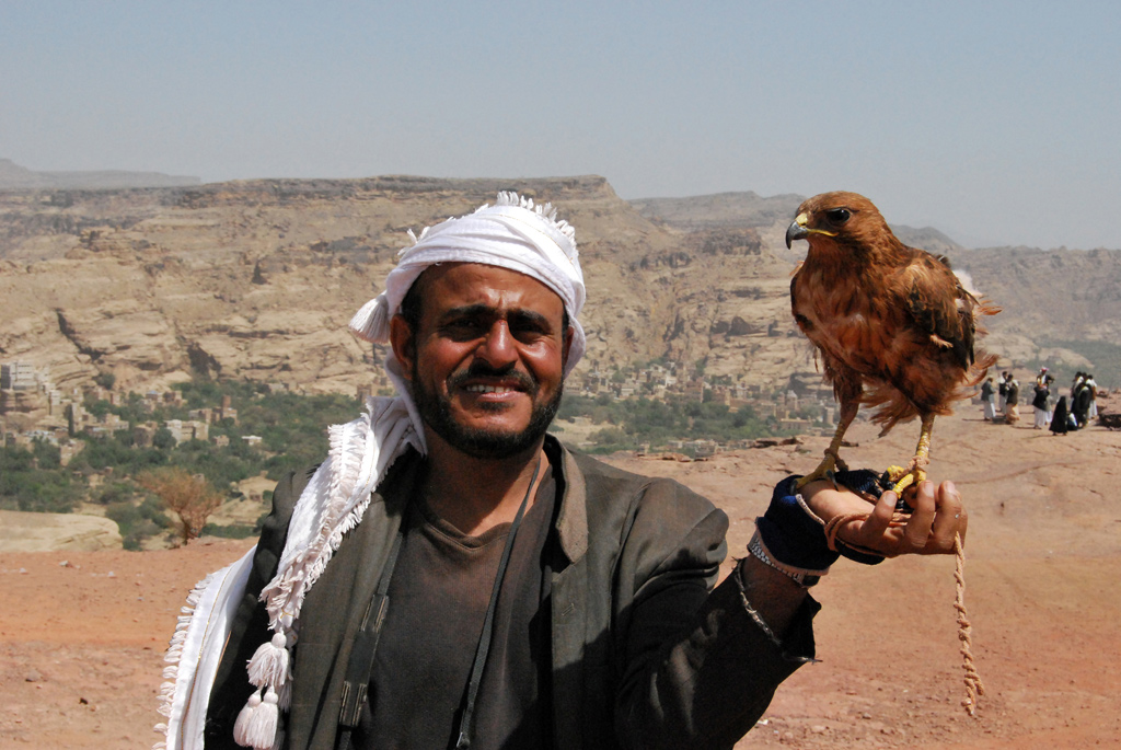 Yemen. Caccia con il falcone