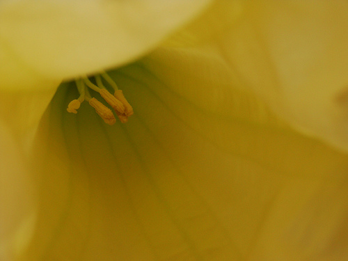 Nelle segrete stanze