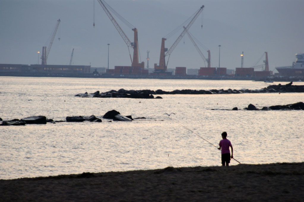 Contrasti al tramonto