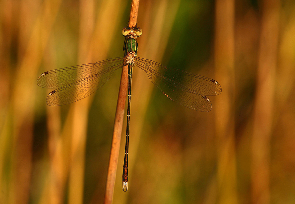 ...Una Diversa Angolazione...!!!