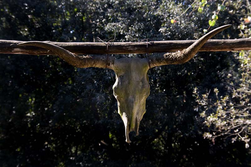 non c'� speranza per voi che....entrate!!