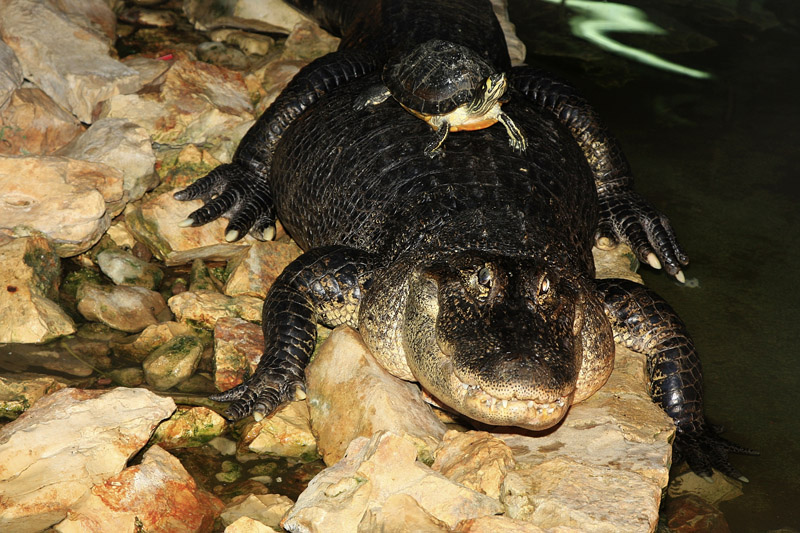 stiamo ....vicini vicini!!