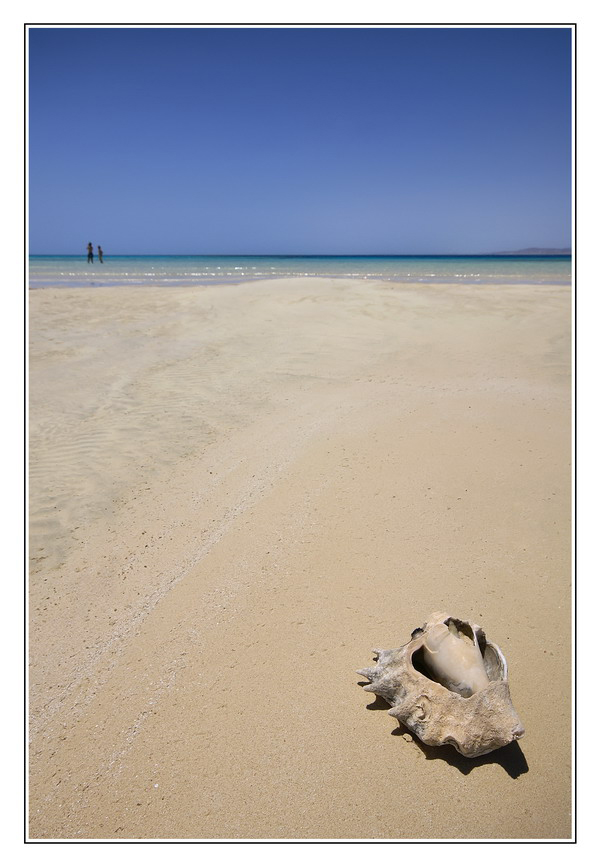 Cercatori di conchiglie