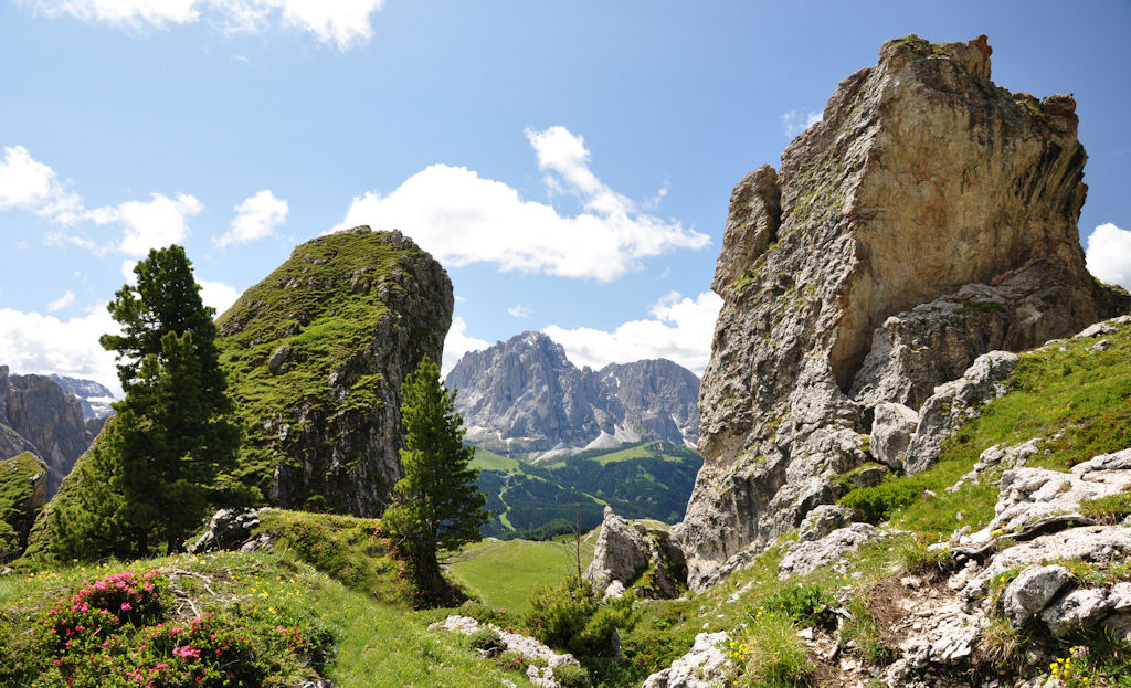 patrimonio dell'umanit�