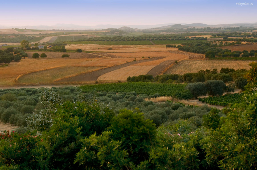 I colori della terra...