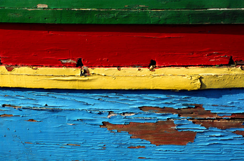 LEGNI D'ACQUA SALATA 1