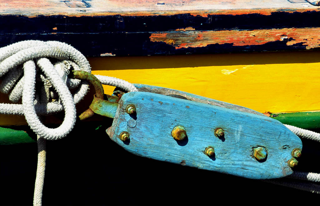 LEGNI D'ACQUA SALATA