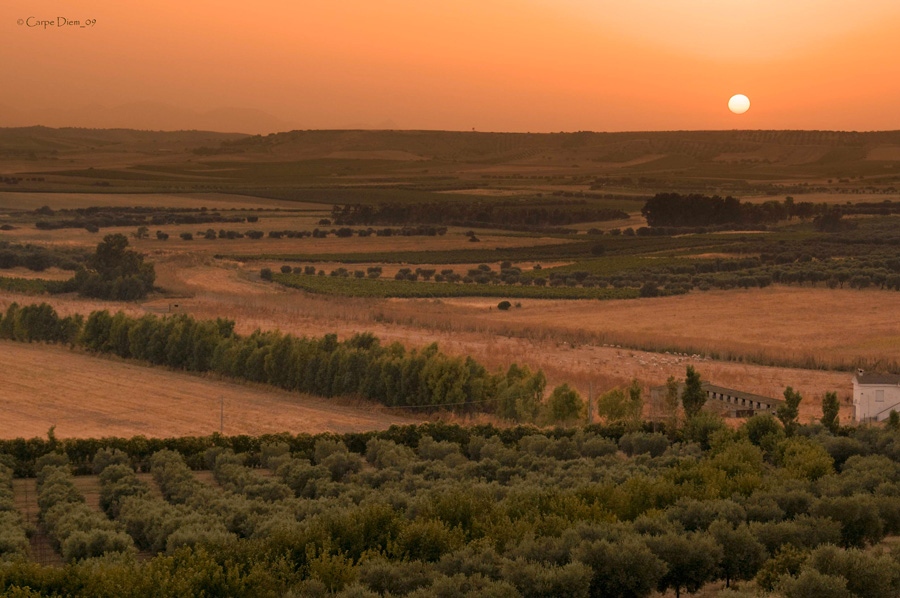 Madre terra ... fratello sole ...