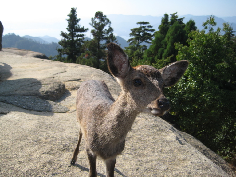 Cos'hai nell'altra mano?