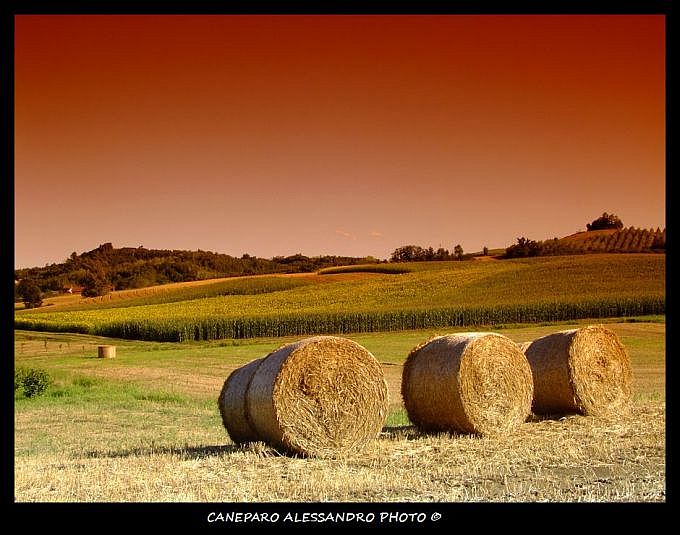 Balle di Fieno