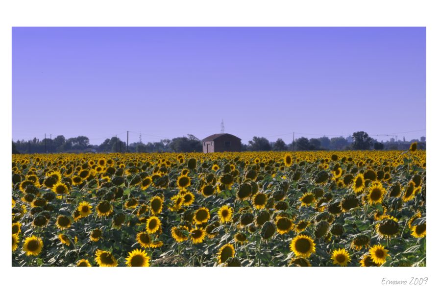 Casetta di campagna...