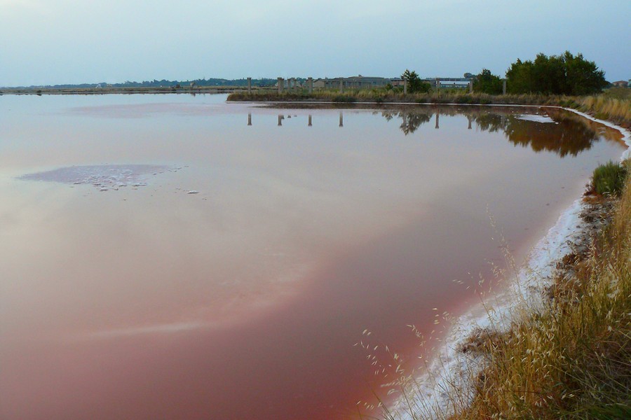 Saline di Cervia II