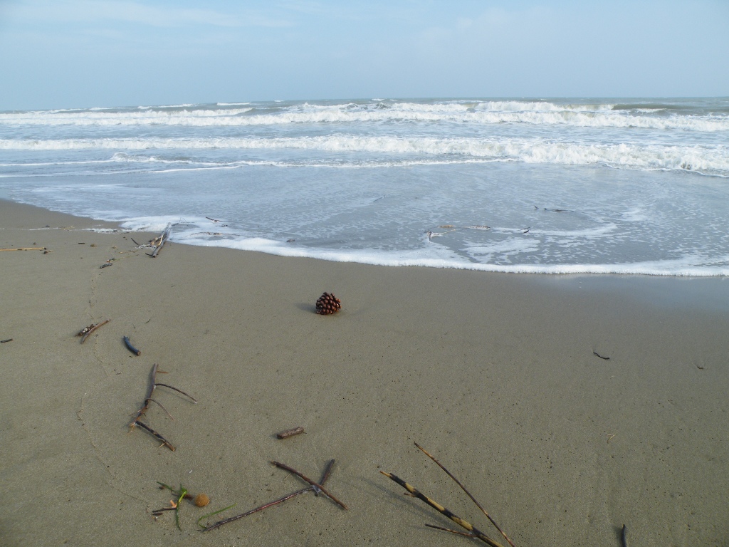 Solitudine