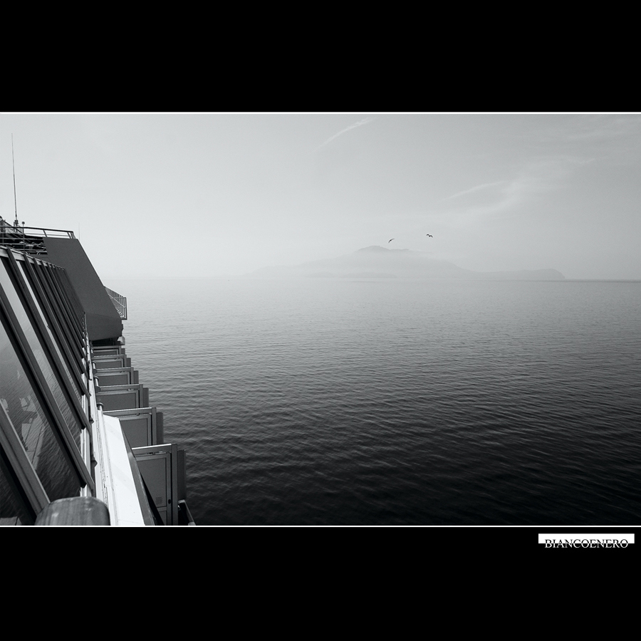 ::: NEL SILENZIO :::