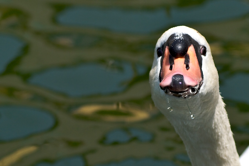 Arrivederci a Settembre.