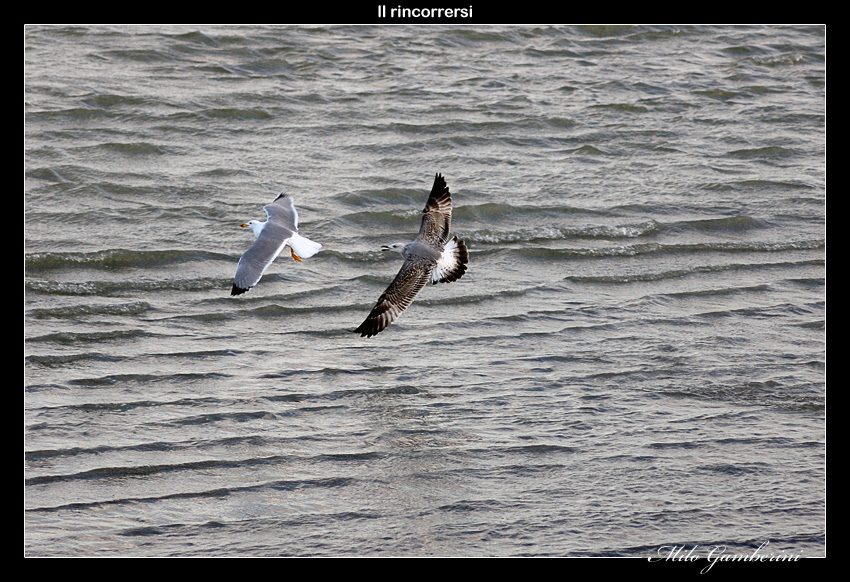 Il rincorrersi.