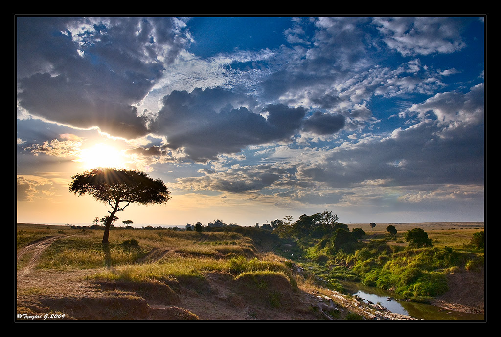 Masai Mara Sunrise