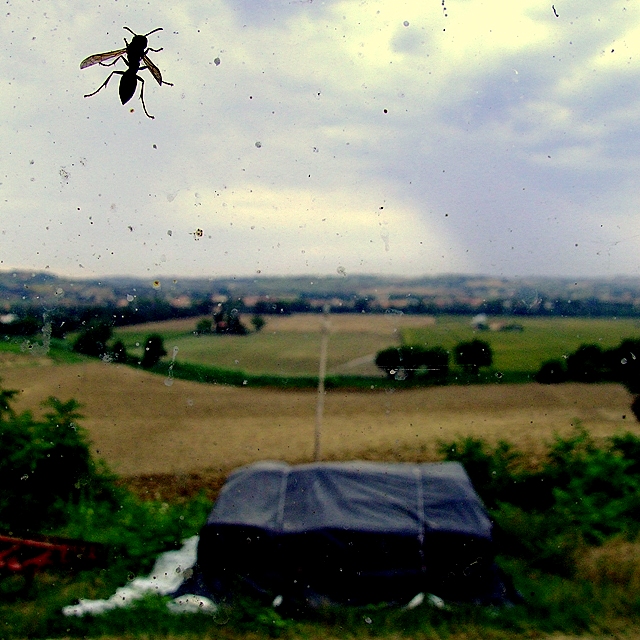 vorrei essere altrove