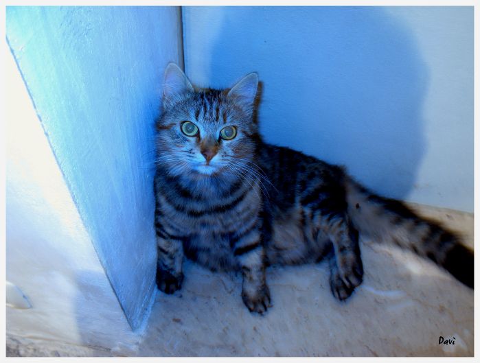 she keeps asking about you