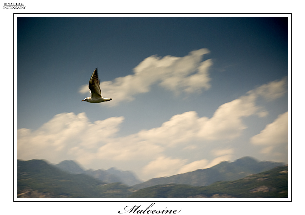 Malcesine_volo