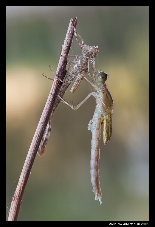 L'alba di una nuova vita, parte seconda...