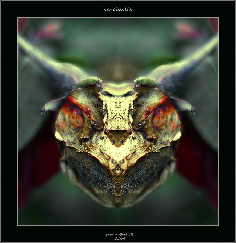 pareidolie