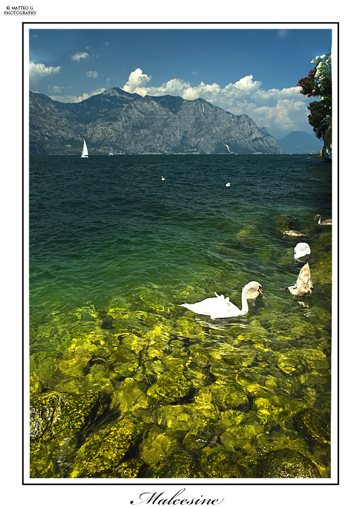 Malcesine_Lago