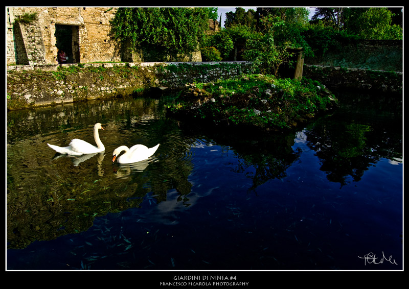 Giardini di Ninfa -4-