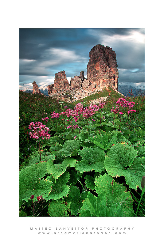 The Wild Gardeen of Towers