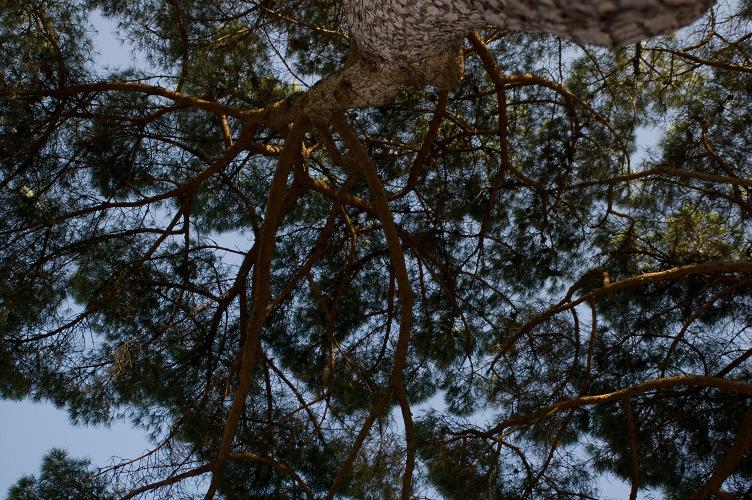 prospettiva dal basso