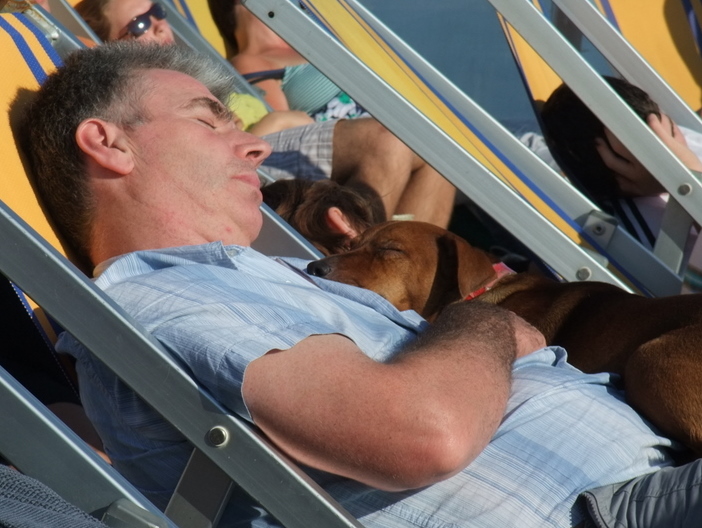 tale cane ...tale padrone