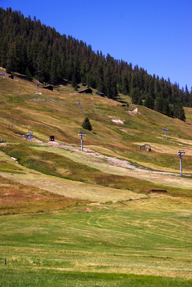 Piste verdi...