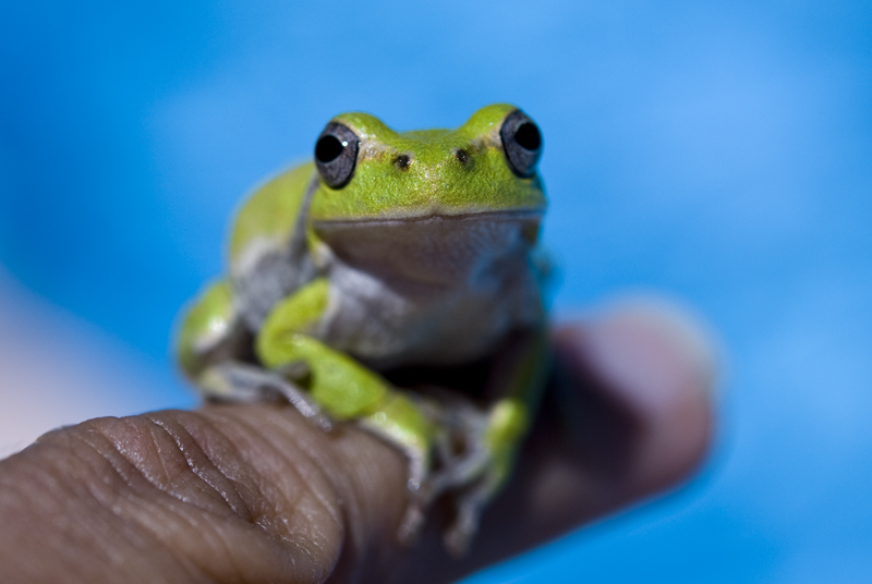 guardami negli occhi