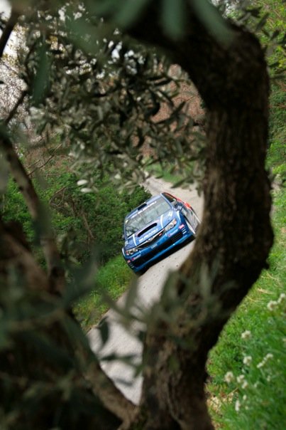 Rally e natura