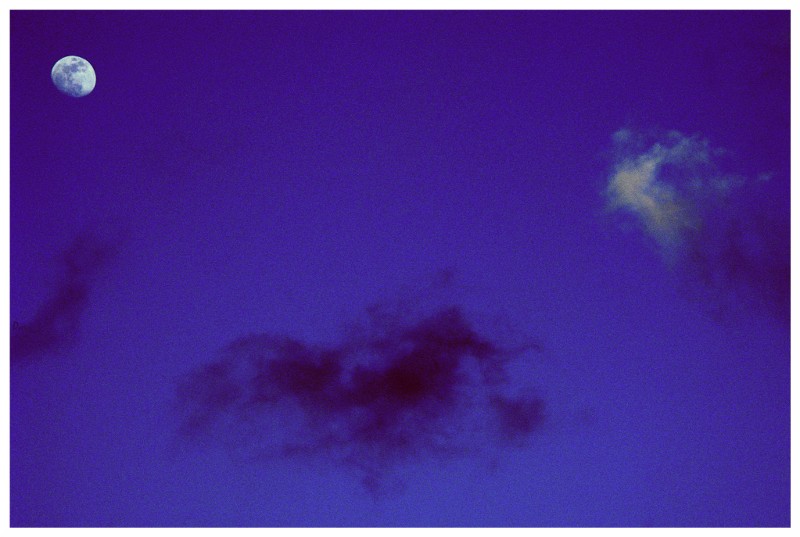 Testimonianza Di Un Giovane Solitario