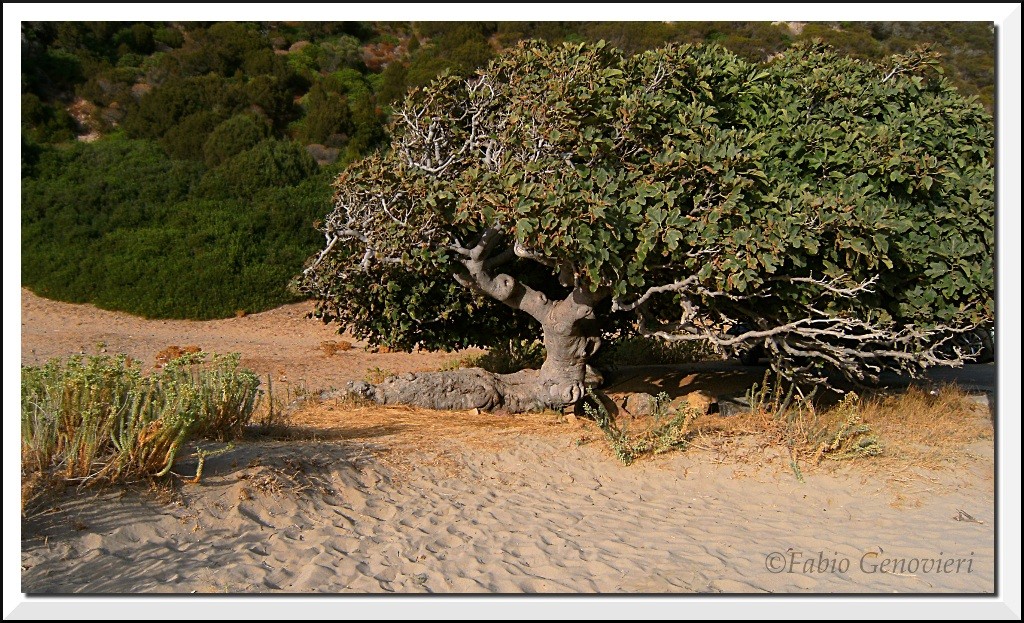 Il vento come scultore