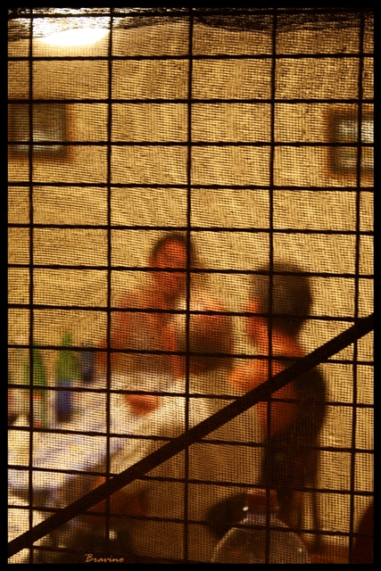 ...Trois Amis a' Table...