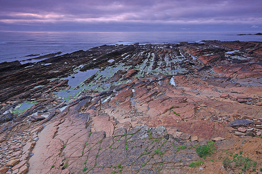 ...BROUGH OF BIRSAY...