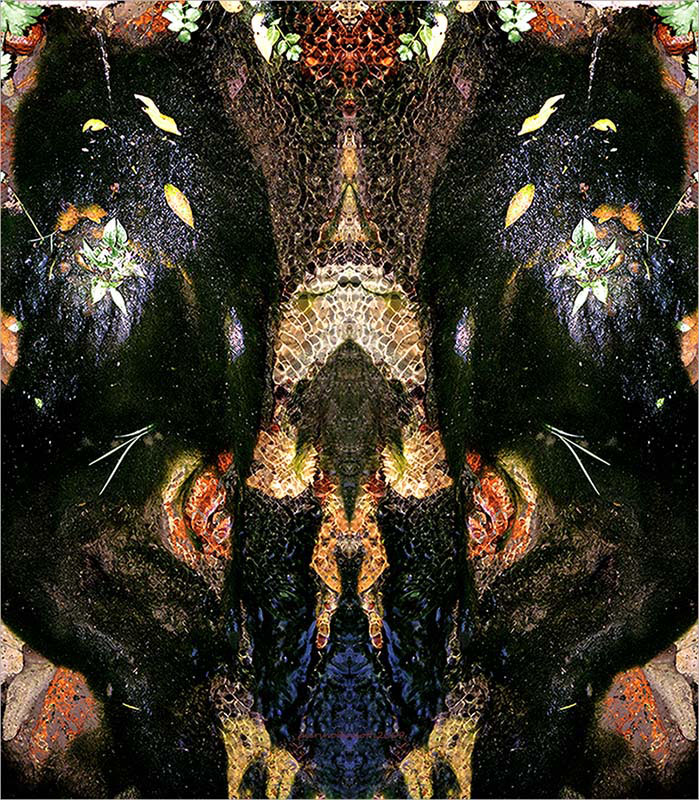 colori di fine estate