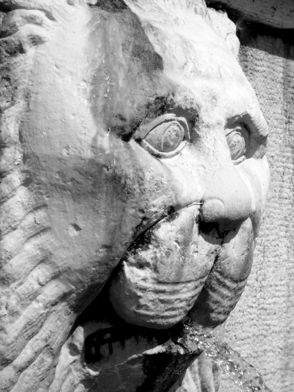 Maniago la fontana (particolare)