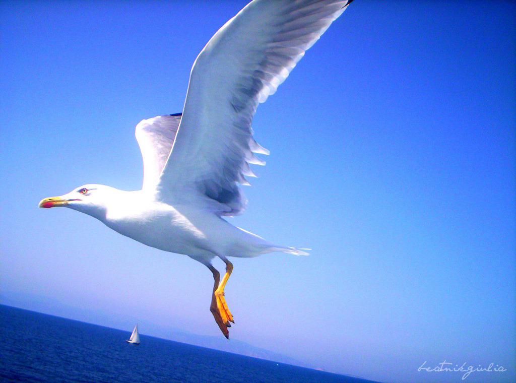 Freedom Ain't What It Used To Be