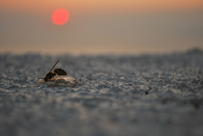 Ultime ore di lavoro
