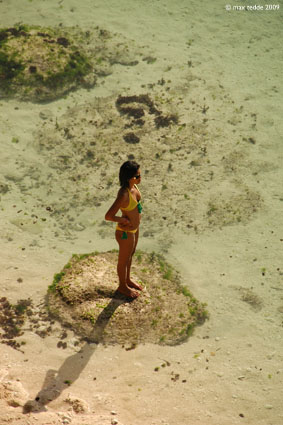 beauty on the island