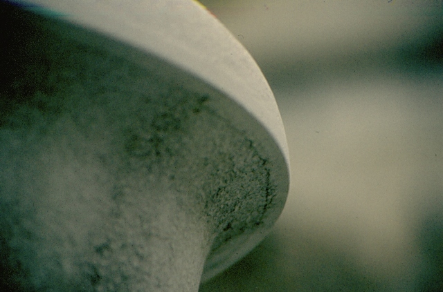 L' Aquila - fontana p.zza S. Pietro 2008