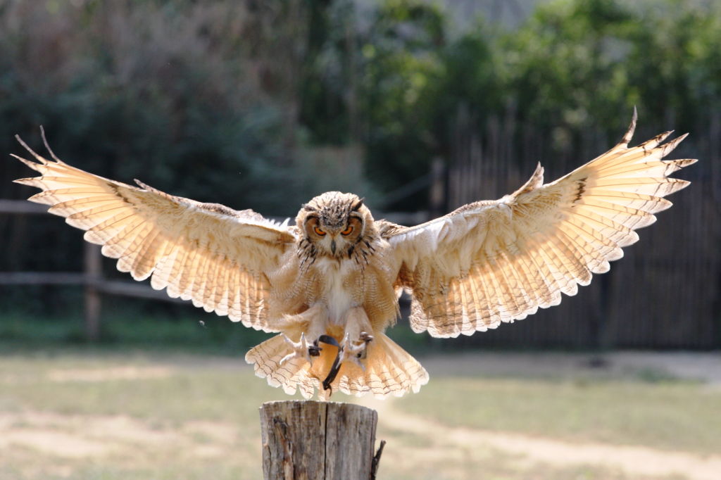 oasi di sant'alessio