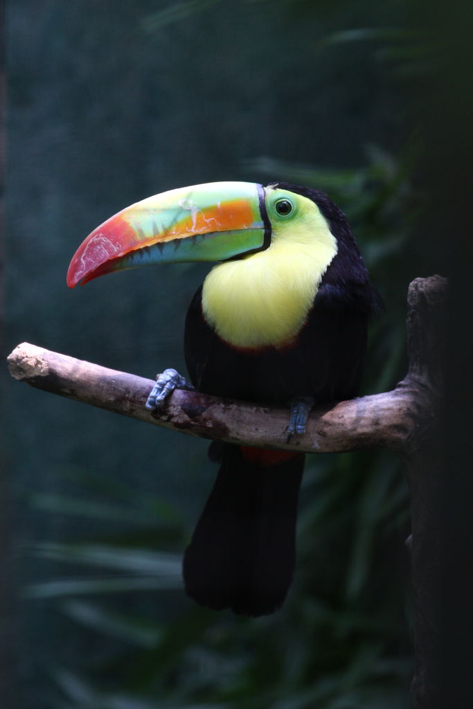 oasi di sant'alessio